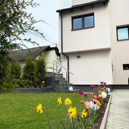 Sonnenlay Lounge - Studio&Ferienhaus Brauneberg Exterior foto