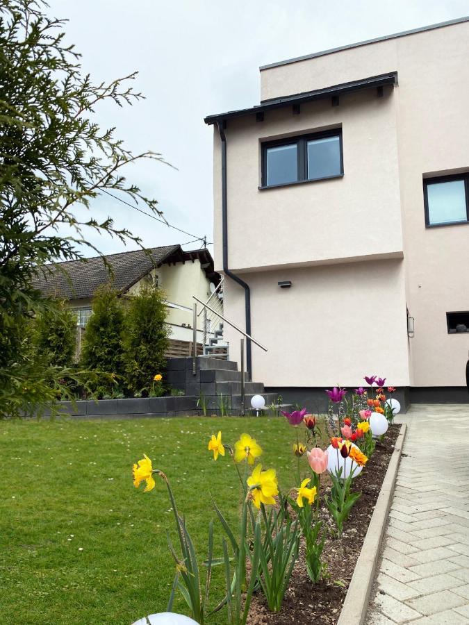 Apartment Sonnenlay Lounge - &